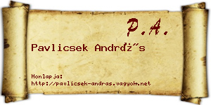 Pavlicsek András névjegykártya