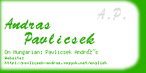 andras pavlicsek business card